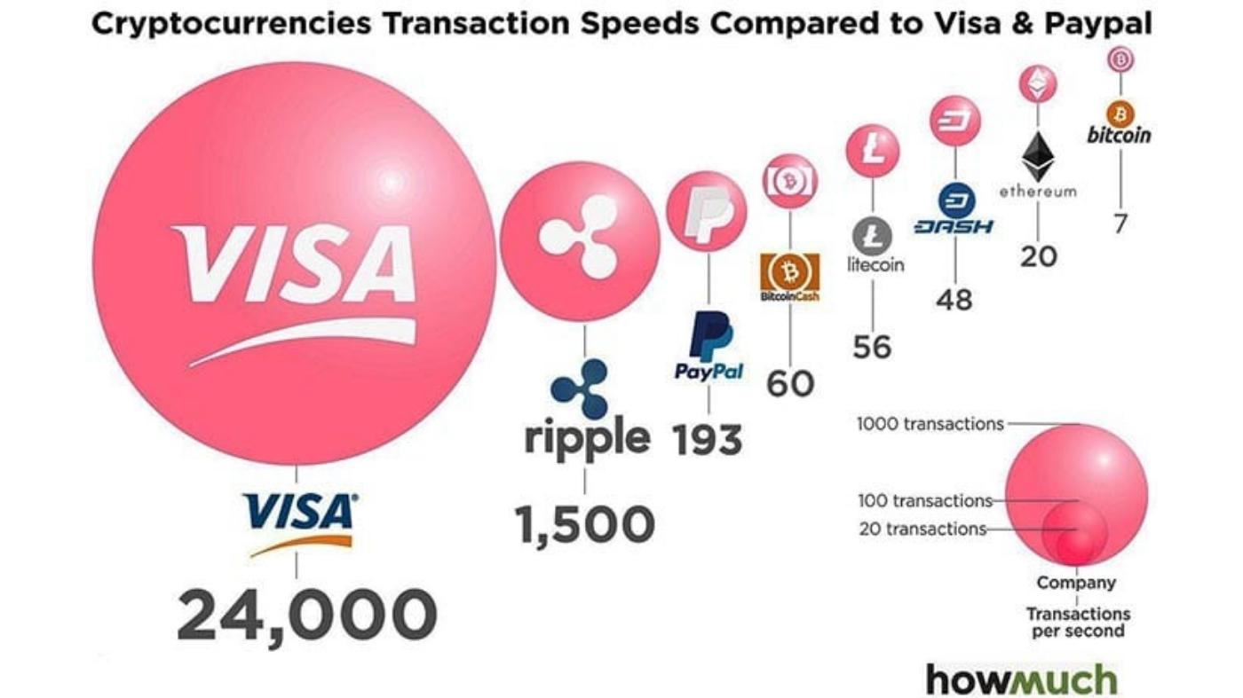 Data of Transaction Speed and Cost