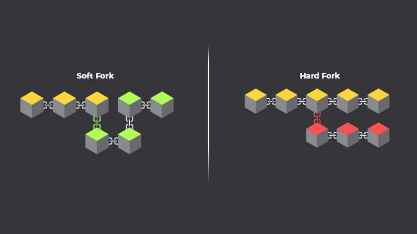 Hard Fork vs Soft Fork Key Differences